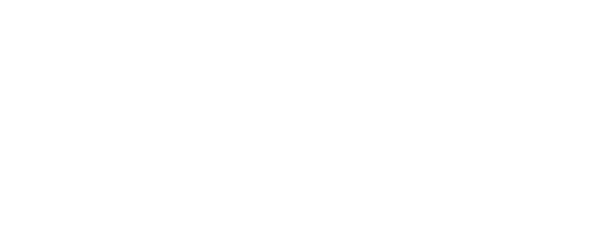 Logo The 62 Lower Holdings Limited Logo